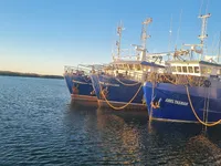 Arrastrero en venta