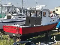 Recipiente de procesamiento de pescado en venta