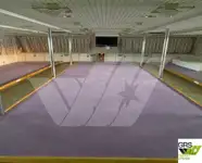Buque Ro-Ro en venta