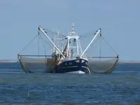 Arrastrero en venta