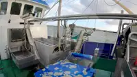 Arrastrero de viga en venta