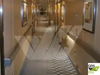 Buque de crucero en venta