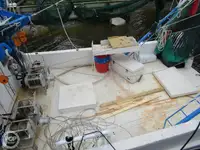Arrastrero en venta