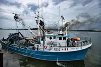 Arrastrero de cerco en venta