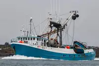Arrastrero de cerco en venta