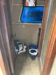 Lancha de tripulación en venta