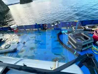 Granelero en venta
