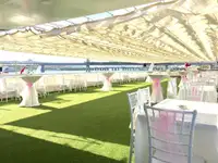 Buque de crucero en venta