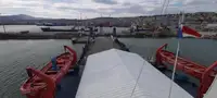 Buque granelero en venta