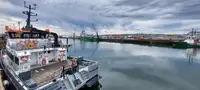 Catamarán en venta