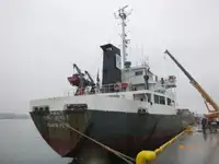 Buque granelero en venta