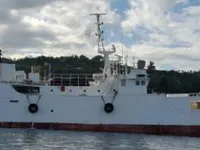 Arrastrero en venta