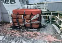 Buque de crucero en venta