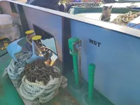 Buque portacontenedores en venta