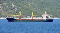 Granelero en venta