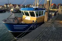 Arrastrero en venta