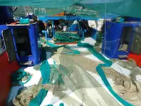 Trawler en venta