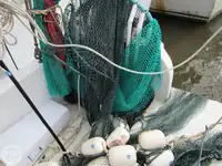 Arrastrero en venta