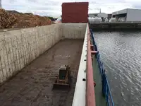Buque granelero en venta
