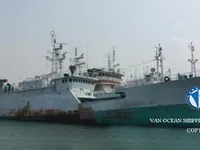 Palangrero en venta