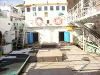 Palangrero en venta