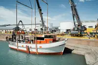 Trawler en venta