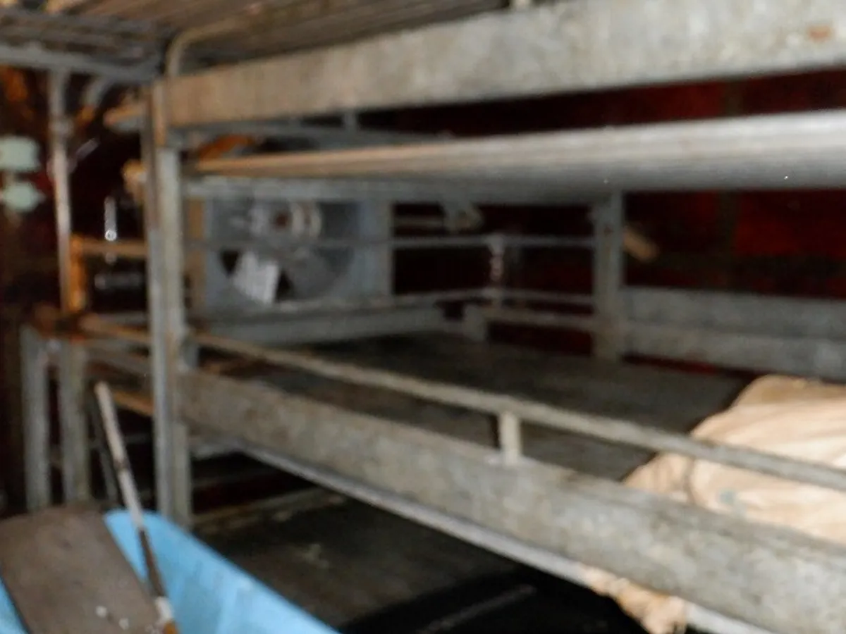 Palangrero en venta