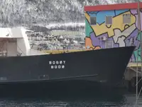 Buque Ro-Ro en venta