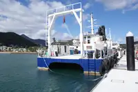 Buque de crucero en venta