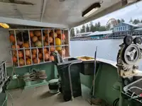 Palangrero en venta