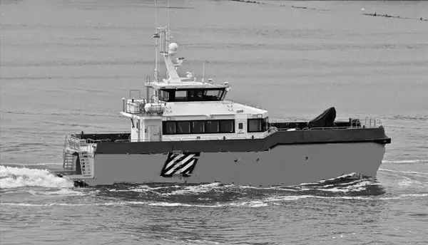Catamaran for sale
