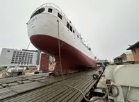 Arrastrero en venta