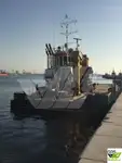 Embarcaciones de trabajo en venta