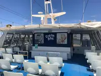 Catamarán en venta