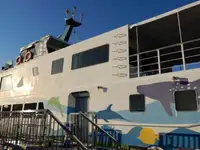 Buque de crucero en venta