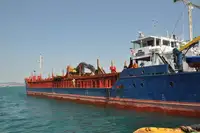 Granelero en venta