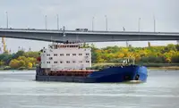 Granelero en venta
