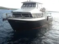 Barco de transbordador en venta