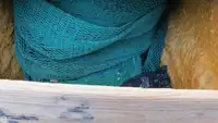 Arrastrero en venta