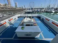 Catamarán en venta
