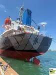 Buque granelero en venta