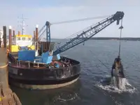 Dragado en venta