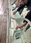 Embarcaciones de trabajo en venta