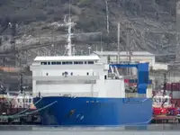Buque granelero en venta