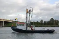 Arrastrero en venta