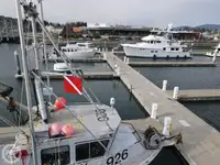 Balsa salvavidas en venta