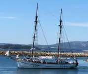 Buque de ferry en venta