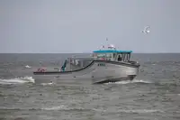 Buque de pasajeros en venta