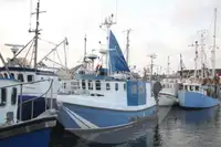 Portador de peces vivos en venta