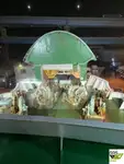 Buque Ro-Ro en venta